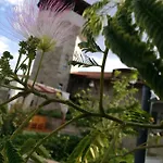 Шато Ветровитите Хълмове Hotel *