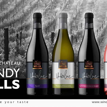 Шато Ветровитите Хълмове Szliven