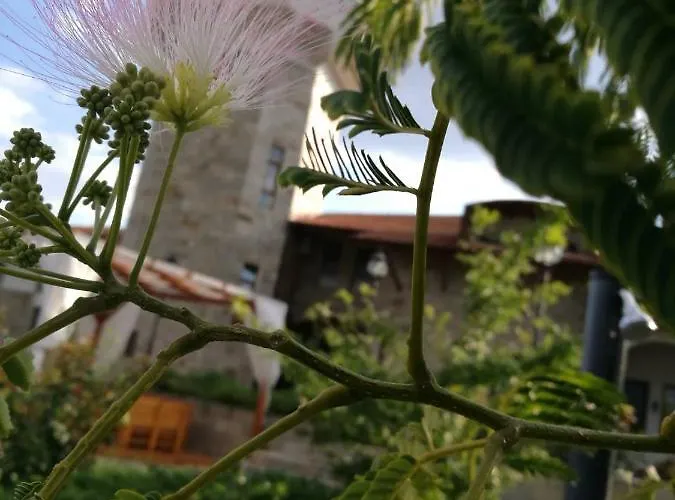 Шато Ветровитите Хълмове Szálloda *